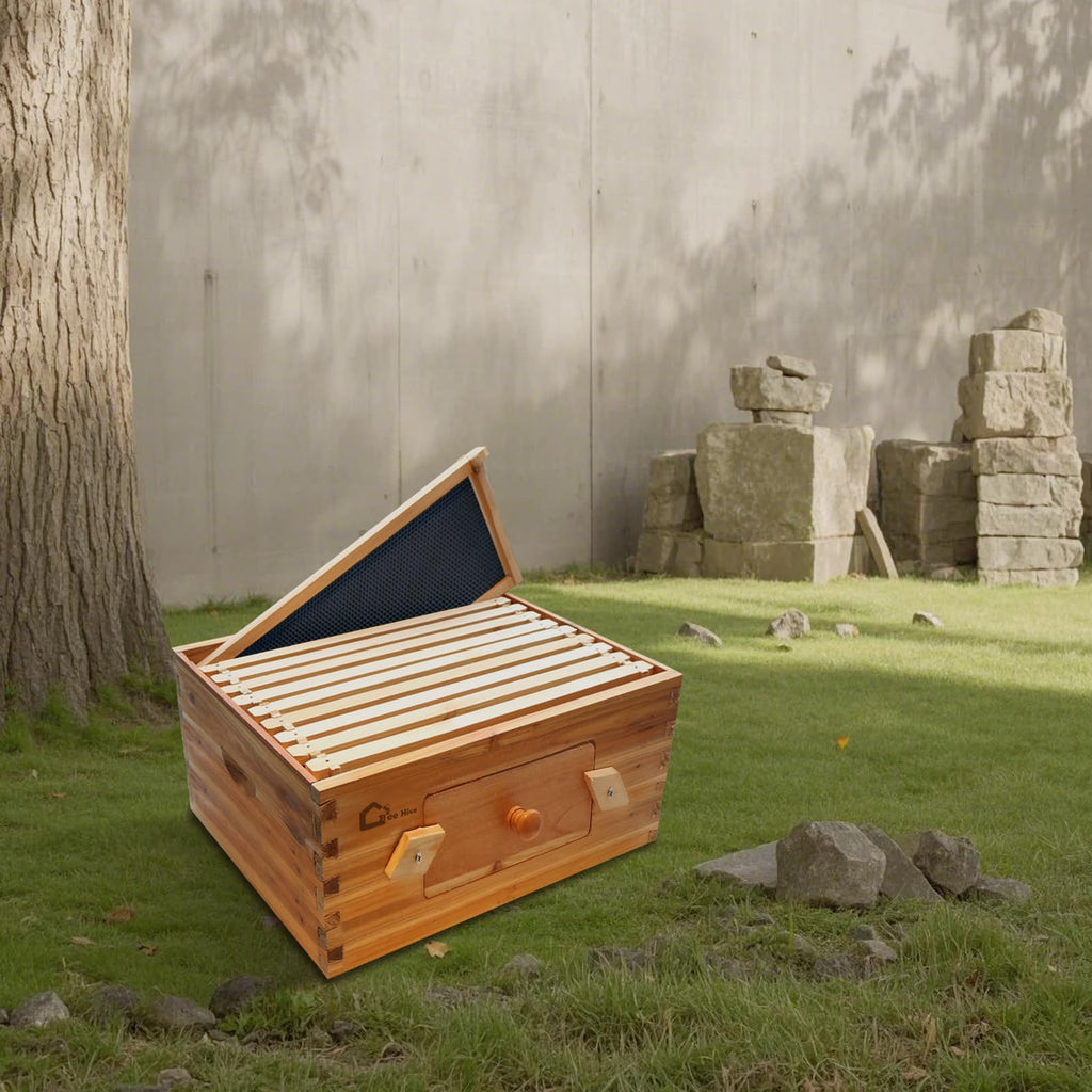 Garvee 10-Frame Deep Brood Bee Hive Box Langstroth Compatible Transparent Acrylic Window Heavy-Duty Beeswax Coated Cedarwood Durable Outdoor Beekeeping