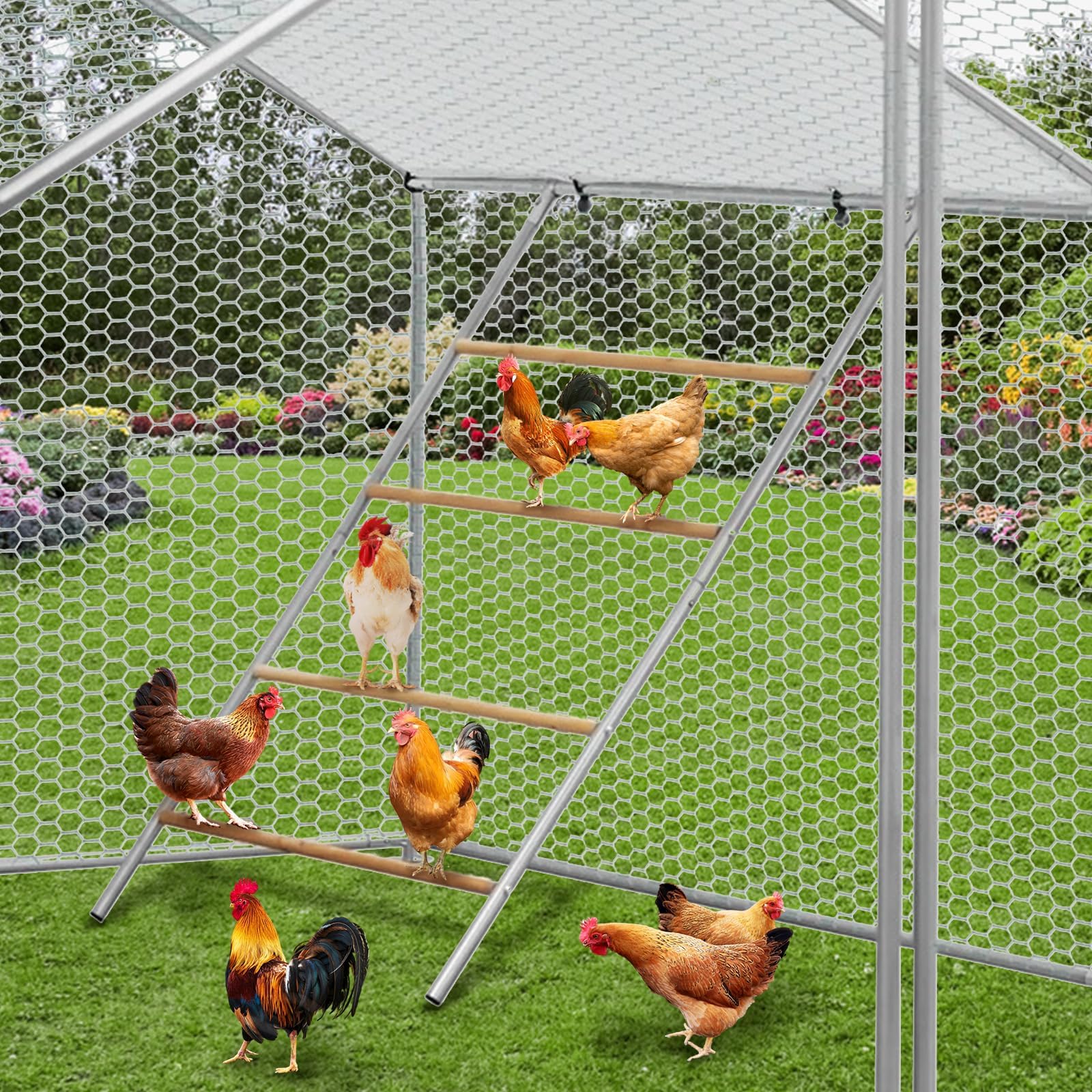 Garvee Chicken Perch for Coop 55x40'' Galvanized Iron & Wood Weatherproof Ladder Design Stable Round Bars Multi-Tier Roosting for Backyard Poultry