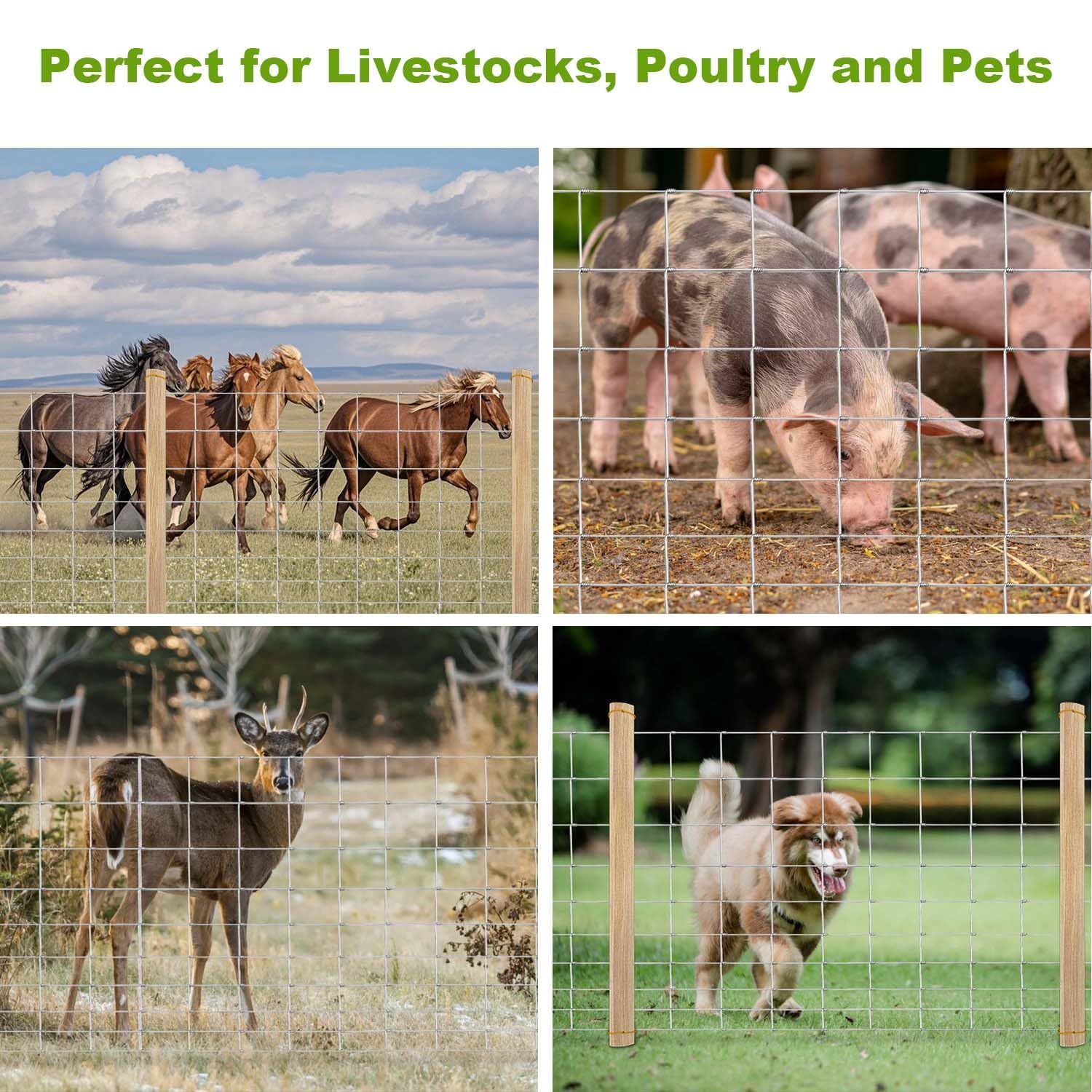 GARVEE 5'x164' Heavy Duty Galvanized Wire Mesh - 14-Gauge Steel Fence for Pasture/Stable/Yard Enclosure (Farm Fencing)
