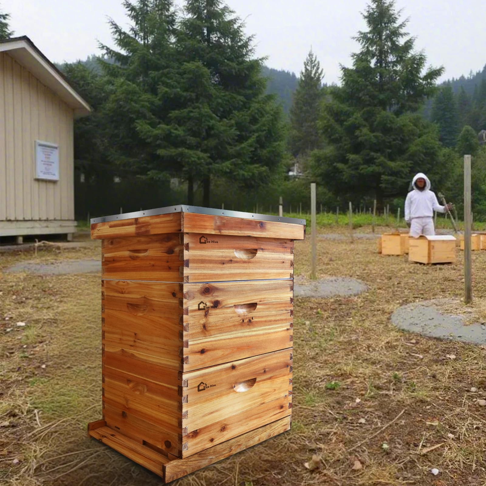 Garvee 10-Frame Langstroth Beehive Kit with Beeswax Coated Frames, Cedarwood, Dovetail Joints, Waterproof Cover, 2 Deep & 1 Medium Box, Beginner Friendly