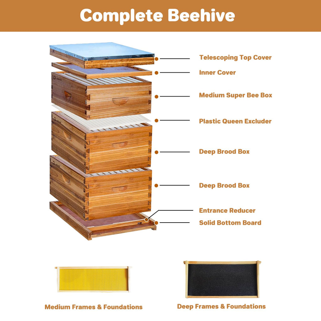 Garvee 10-Frame Langstroth Beehive Kit with Beeswax Coated Frames, Cedarwood, Dovetail Joints, Waterproof Cover, 2 Deep & 1 Medium Box, Beginner Friendly