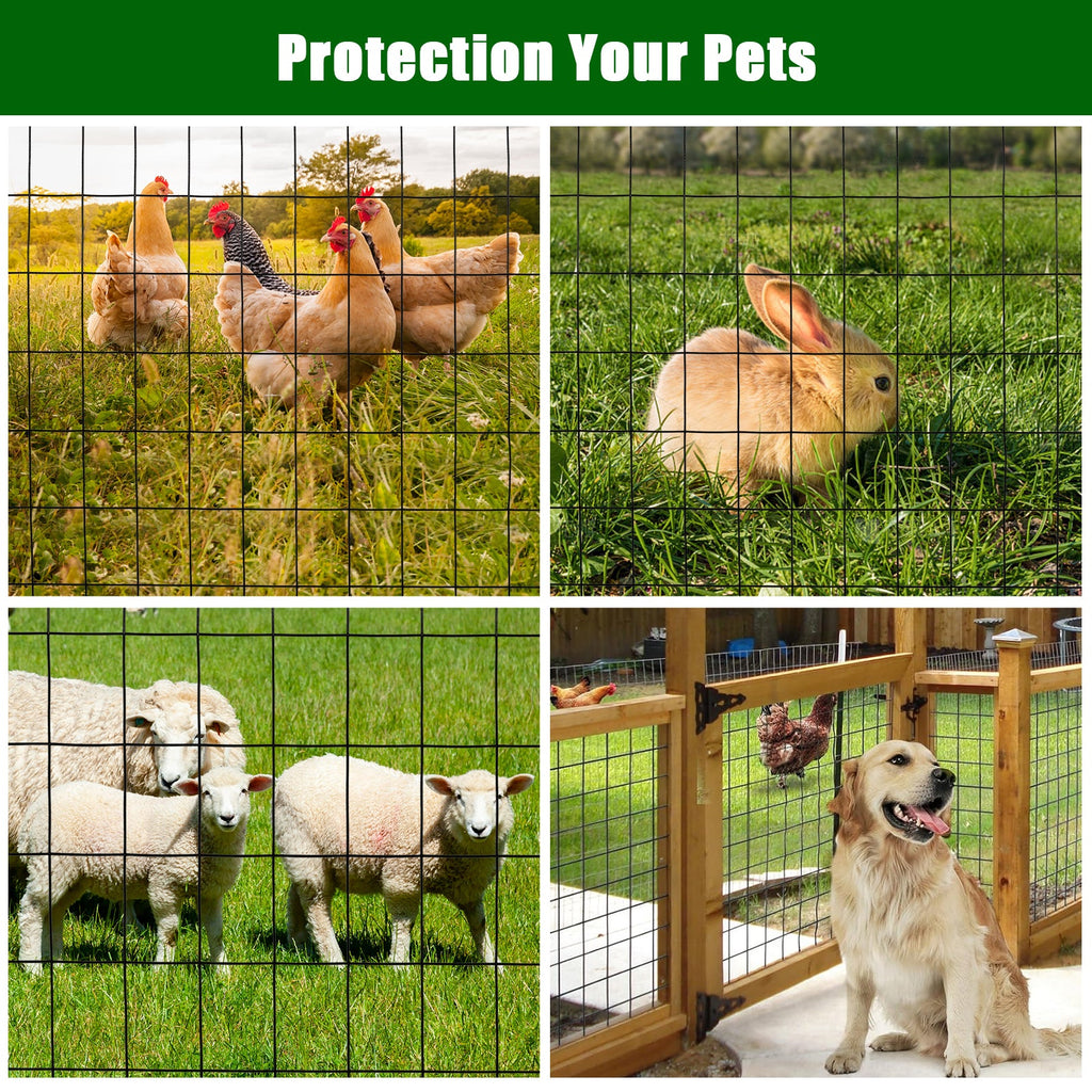 Garvee 2″x3″ 2'×50' 16 Gauge, Chicken Wire Fence Wire Mesh Fence Galvanized Steel Poultry Netting Garden Fence Tree Guard Wire Fence Rolls Hardware Cloth for Yard Vegetable Plant Protection, Black