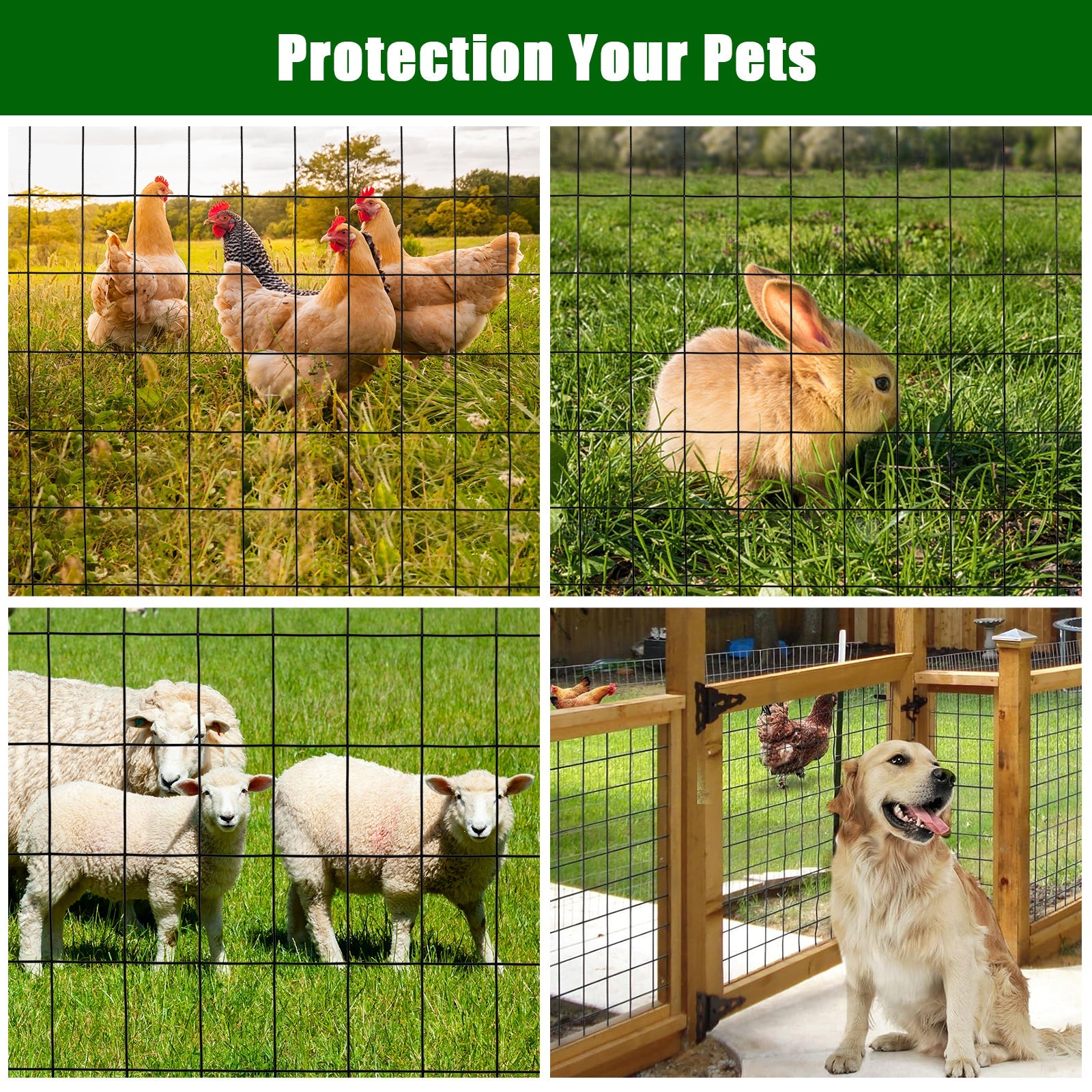 Garvee 2″x3″ 2'×50' 16 Gauge, Chicken Wire Fence Wire Mesh Fence Galvanized Steel Poultry Netting Garden Fence Tree Guard Wire Fence Rolls Hardware Cloth for Yard Vegetable Plant Protection, Black