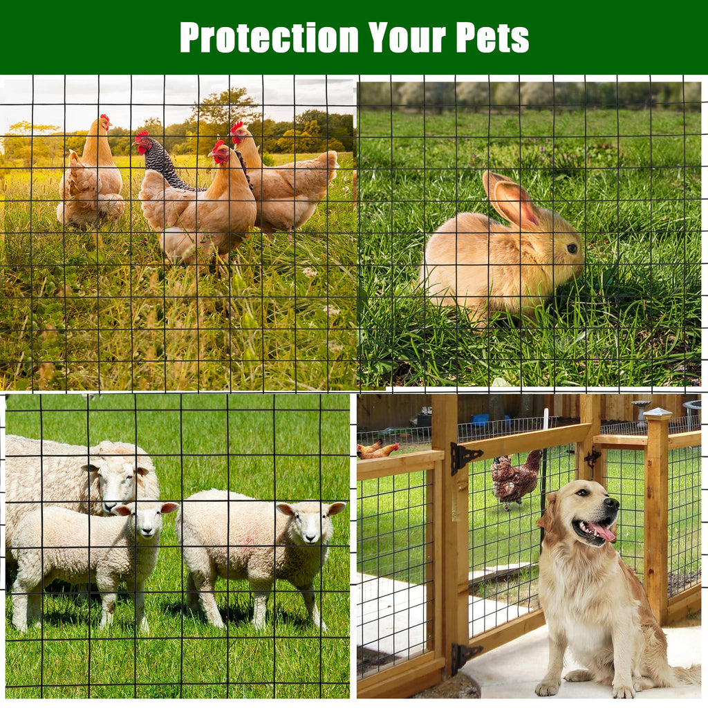 Garvee 2″x2″ 3'×50' 16 Gauge, Chicken Wire Fence Wire Mesh Fence Galvanized Steel Poultry Netting Garden Fence Tree Guard Wire Fence Rolls Hardware Cloth for Yard Vegetable Plant Protection, Black