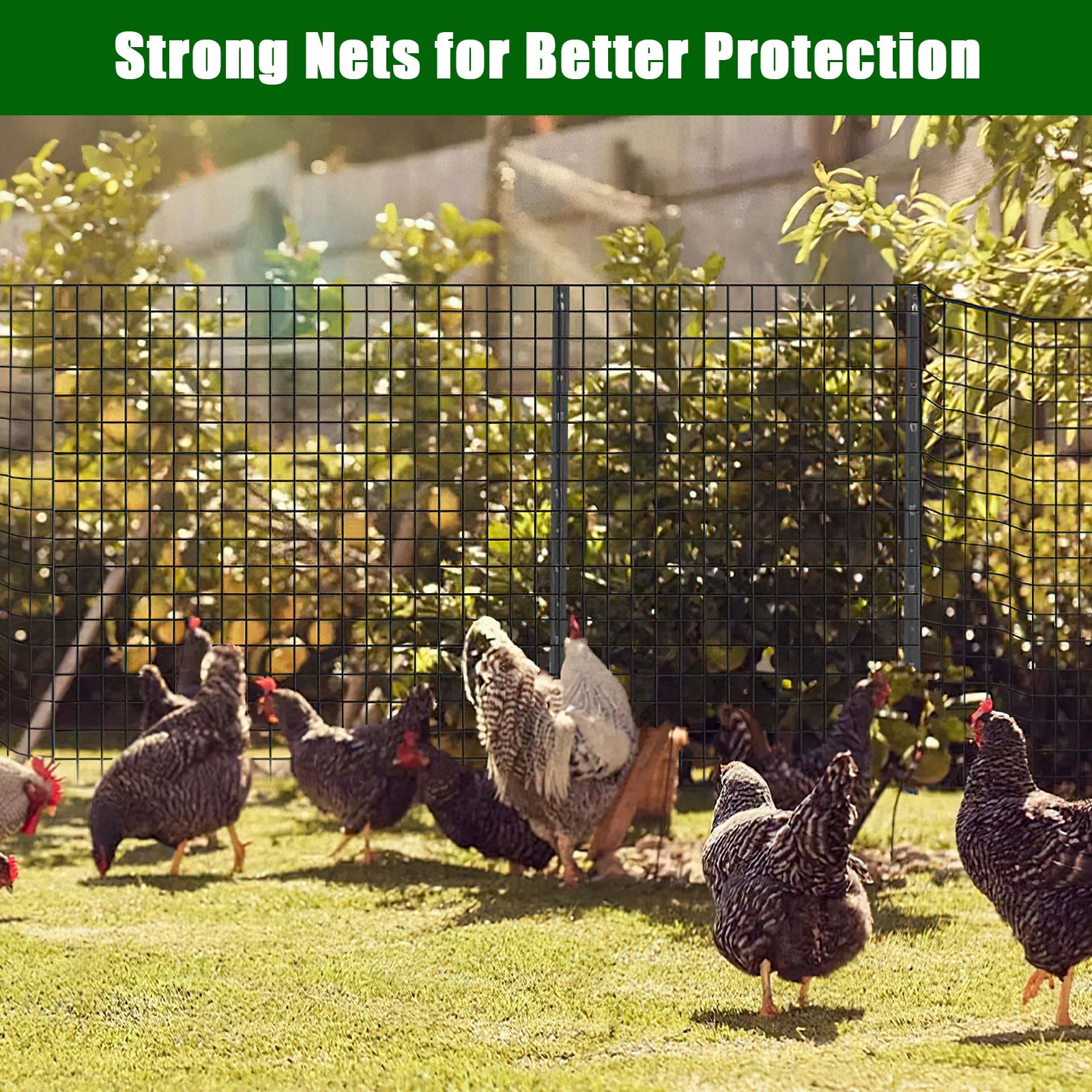 Garvee 2″x2″ 3'×50' 16 Gauge, Chicken Wire Fence Wire Mesh Fence Galvanized Steel Poultry Netting Garden Fence Tree Guard Wire Fence Rolls Hardware Cloth for Yard Vegetable Plant Protection, Black