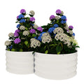 Garvee 2-Pack Galvanized Raised Garden Beds, 4' × 4' × 1' Metal Planter Boxes with Open Base, White