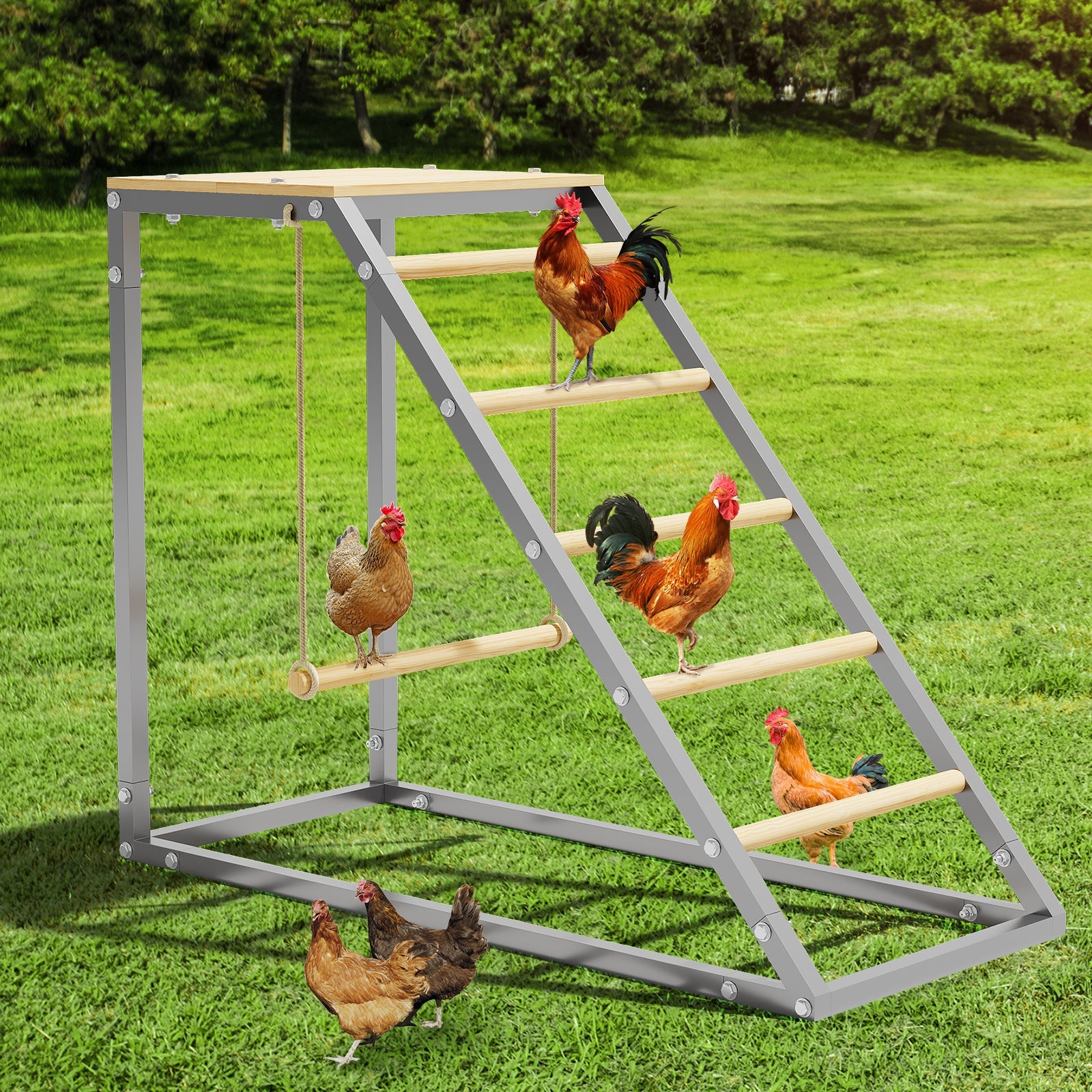 Garvee Chicken Perch for Coop, Chicken Roosting Bars with Swing and Ladder Design for Backyard Farm, Roosting Bars for Chickens in Coop, Easy Installation