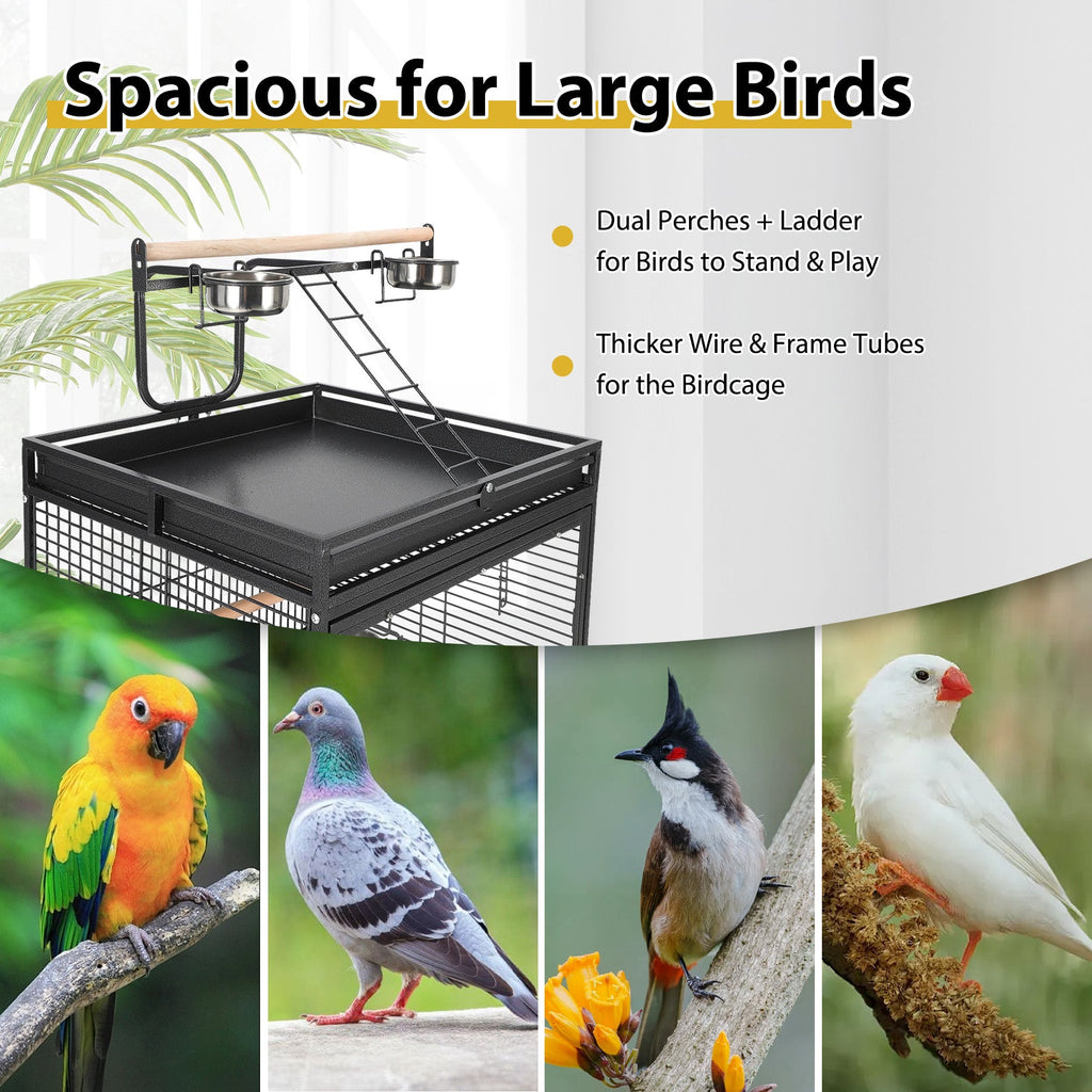 Garvee Large Metal Parrot Cage for Birds, Heavy-Duty Aviary with Acrylic Door, Perches, Stainless Steel Bowls & 360° Wheels, Secure 64.4" Tall Pet Bird Cage for Macaws Cockatoos African Greys