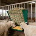 Garvee 2-in-1 Hay Feeder, Wall Mount Hay Rack for Horses, Heavy Duty Steel Hanging Livestock Feeder for Small Goats Sheep Cattle, Easy Assembly, Dark Green