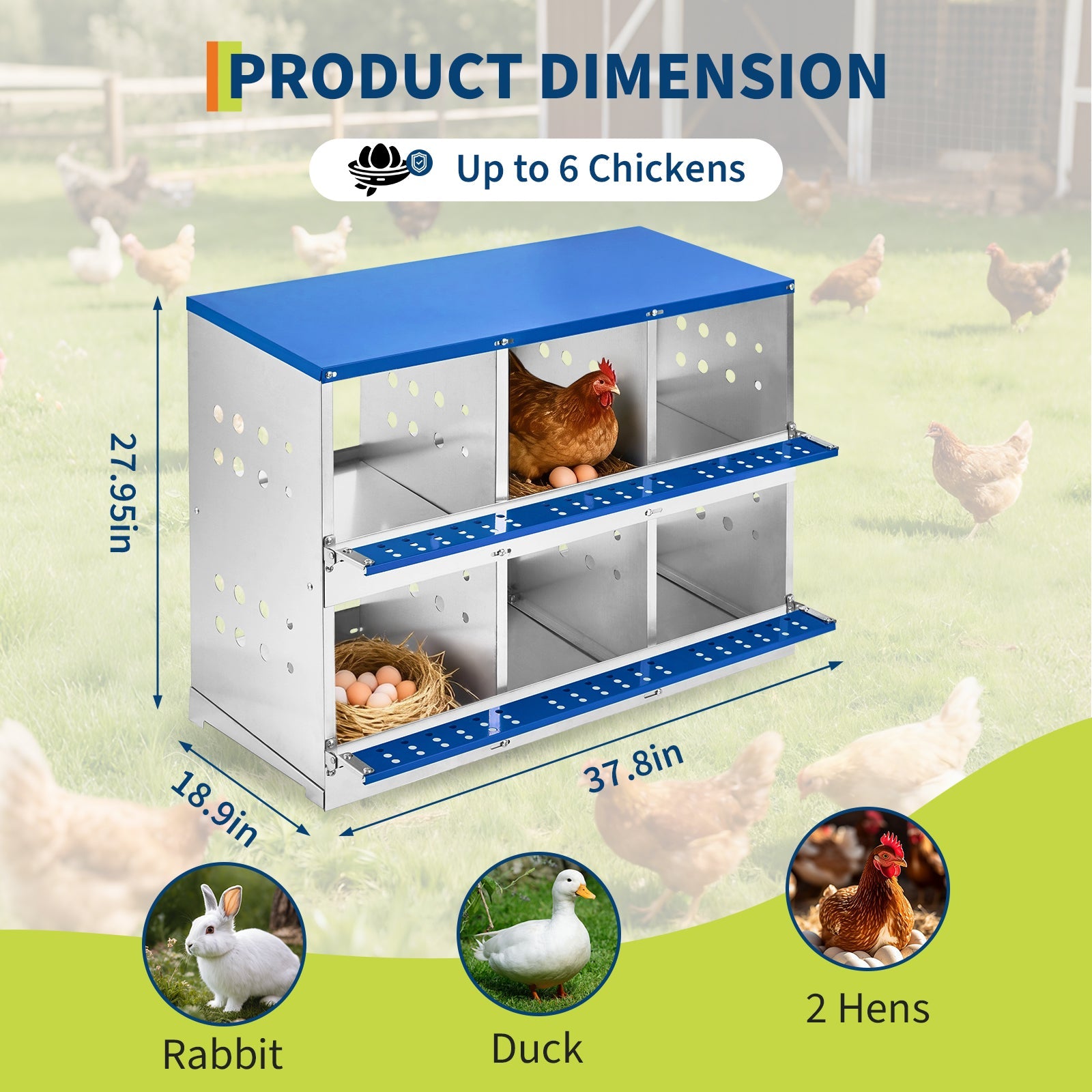 Garvee Heavy Duty 6-Compartment Metal Chicken Nesting Box – Galvanized Steel, Rollaway Egg Collection, Ventilated, Rustproof, Wall-Mounted or Floor, Easy Clean – Space-Saving Hen Layer for Poultry Coop – Without Cover, Blue, 96×48×71cm