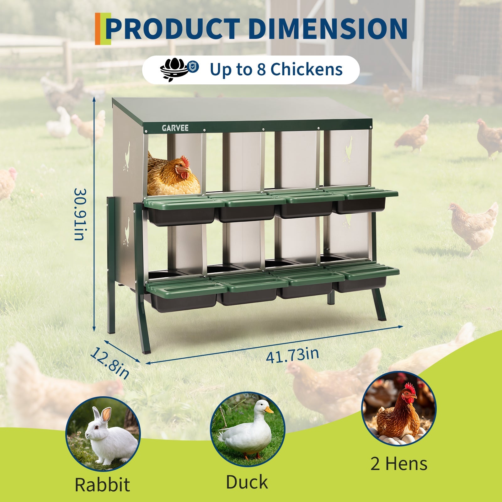 Garvee 8 Compartment Metal Chicken Nesting Box – Galvanized, Ventilated, Roll Away Egg Collection, Removable Tray, Perch, Easy Clean for Hens, Ducks, Geese – Green with Chicken Design – Size: 8 Compartments, Color: Green (Side Chicken Design)