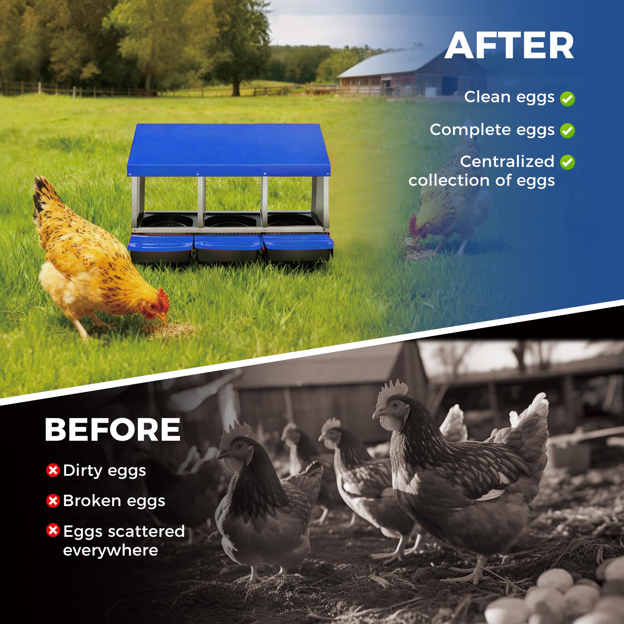 Garvee 3-Compartment Chicken Nesting Box – Automatic Roll-Away Tray & Support Stand, Blue