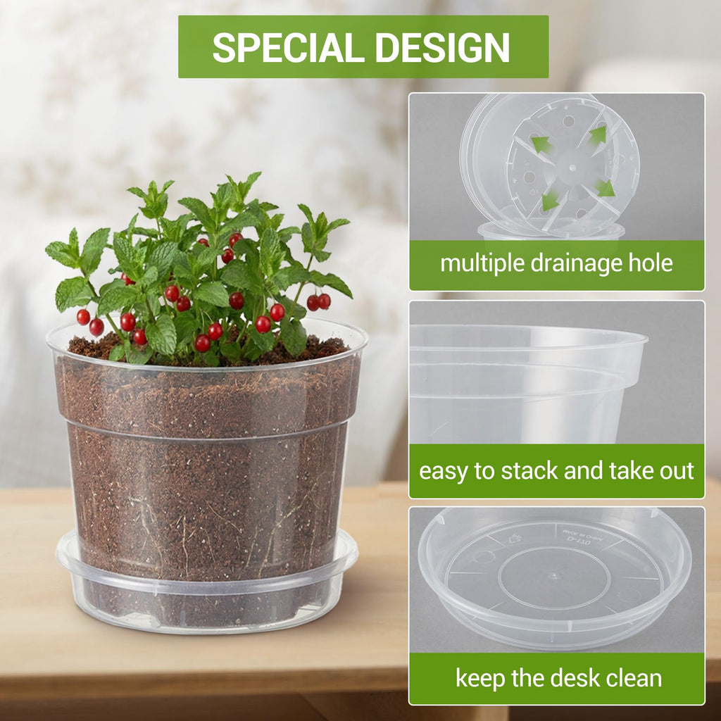 Garvee 6-Pack Clear Nursery Pots with Saucers, 6/8/10" Transparent Plastic Plant Pots with Drainage Holes, Thick Reusable Seed Starter Planters for Indoor & Outdoor Plants, Herbs, Flowers & Succulents