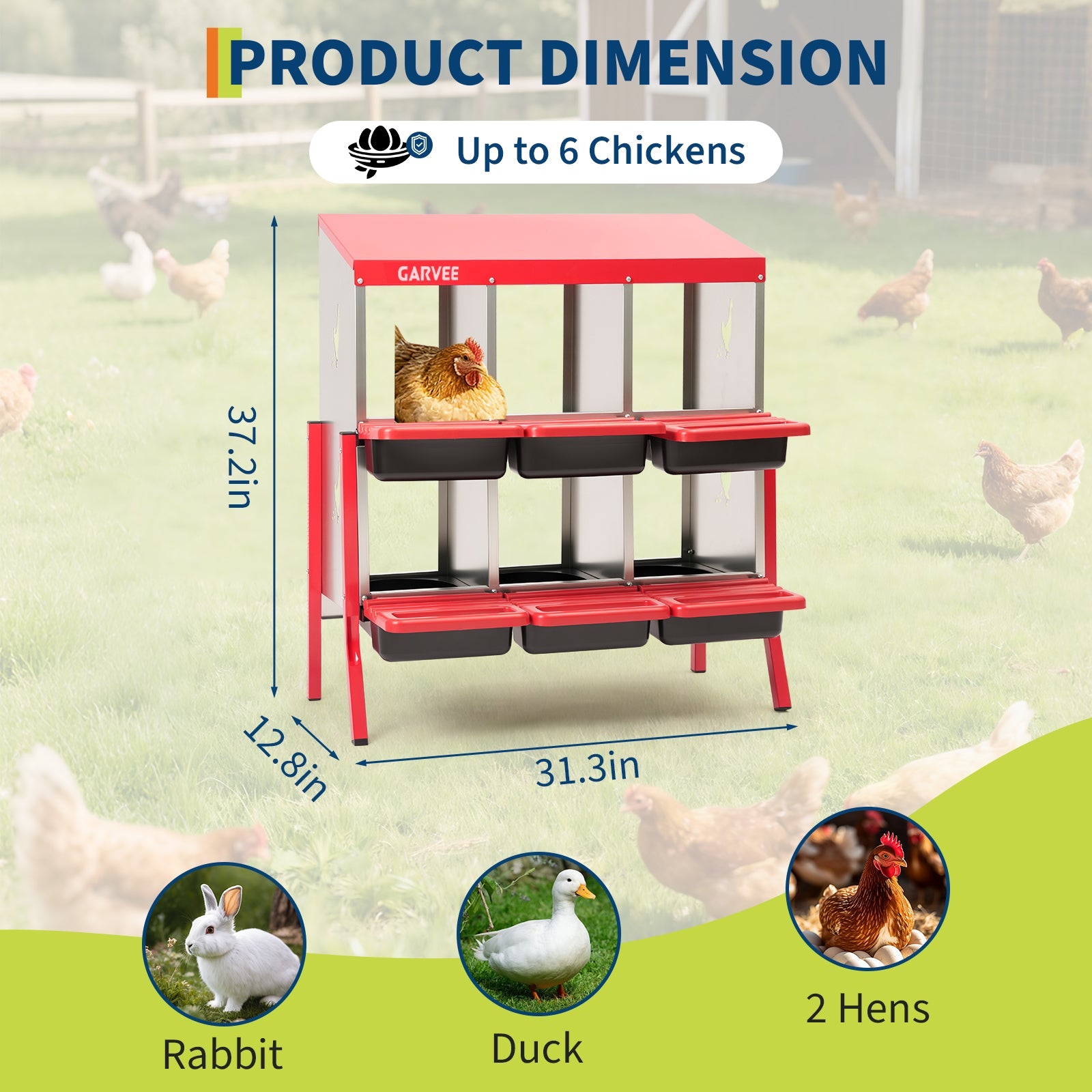 Garvee 6 Compartment Metal Chicken Nesting Box – Soft Cushion, Easy-Clean, Roll Away Egg Collection, Ventilated Design for Outdoor Chicken Coop, Rabbit, Duck – Red with Chicken Design – Size: 6 Compartments, Color: Red (Side Chicken Design)