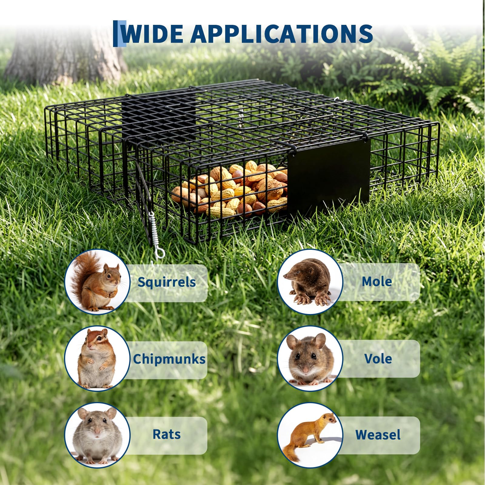 Garvee Humane 2-Door Live Animal Trap Cage – Sturdy Steel, Easy Catch & Release – For Squirrels, Chipmunks, Rabbits & Small Pests – Indoor/Outdoor Use – Carry Handle – Square: 24x24x5 in / 61x61x13 cm