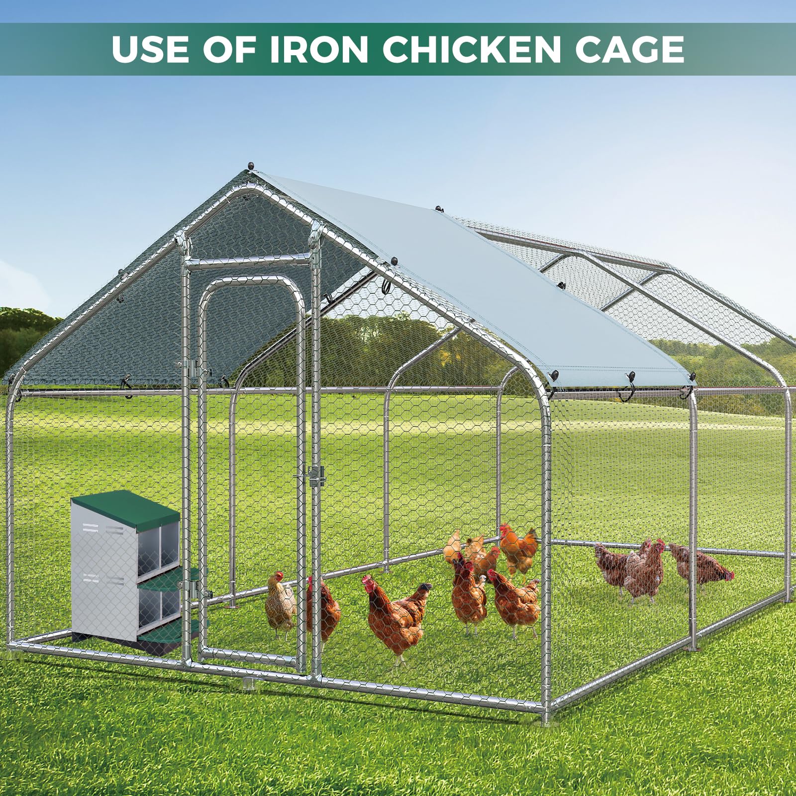 Garvee 4-Compartment 2-Tier Chicken Nesting Box – Roll-Away Tray & Support Stand, Green
