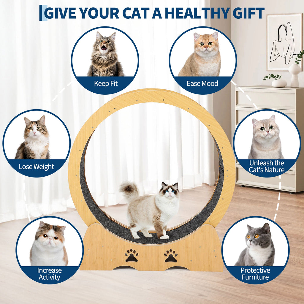 Garvee Large Wooden Cat Exercise Wheel Treadmill, 39" Indoor Running Wheel with Detachable Carpeted Track – Ideal for Cat Fitness, Training, Weight Loss