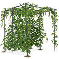 Garvee Garden Arch Trellis, 78"x78"x78" Galvanized Steel Metal Arbor with UV-Resistant PE Coating for Roses, Grapes, Cucumbers, Wedding & Patio Decor
