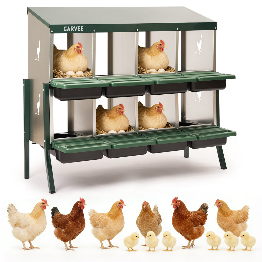 Garvee 8 Compartment Metal Chicken Nesting Box – Galvanized, Ventilated, Roll Away Egg Collection, Removable Tray, Perch, Easy Clean for Hens, Ducks, Geese – Green with Chicken Design – Size: 8 Compartments, Color: Green (Side Chicken Design)