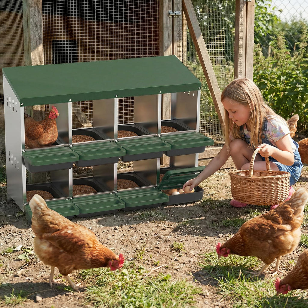Garvee 8-Hole Chicken Nesting Box with Roll Away Design, Ventilation Holes, Galvanized Steel, Removable Lid, Easy Egg Collection, Green, for Chicken and Duck Coops
