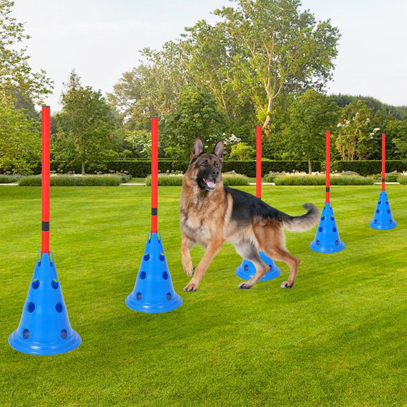 Garvee Dog Agile Hurdle Cone Set, Dog Agile Training Equipment 4-Height Adjustable Obstacle with Storage Bag, for Beginners & Advanced, Puppy Agile Training Hurdle 12 Cones & 6 Agile Rods Combo