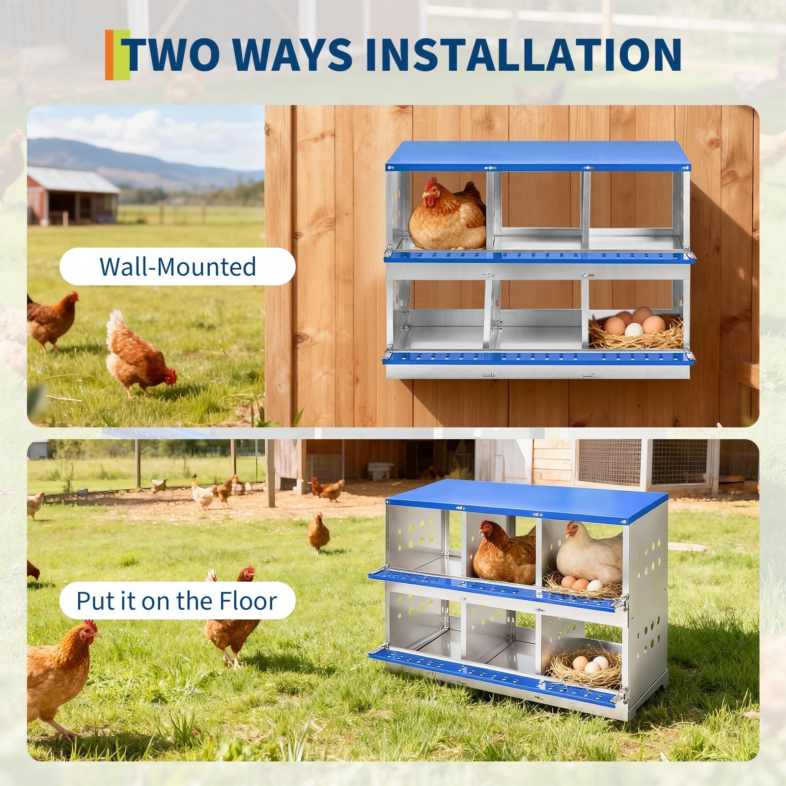 Garvee Heavy Duty 6-Compartment Metal Chicken Nesting Box – Galvanized Steel, Rollaway Egg Collection, Ventilated, Rustproof, Wall-Mounted or Floor, Easy Clean – Space-Saving Hen Layer for Poultry Coop – Without Cover, Blue, 96×48×71cm