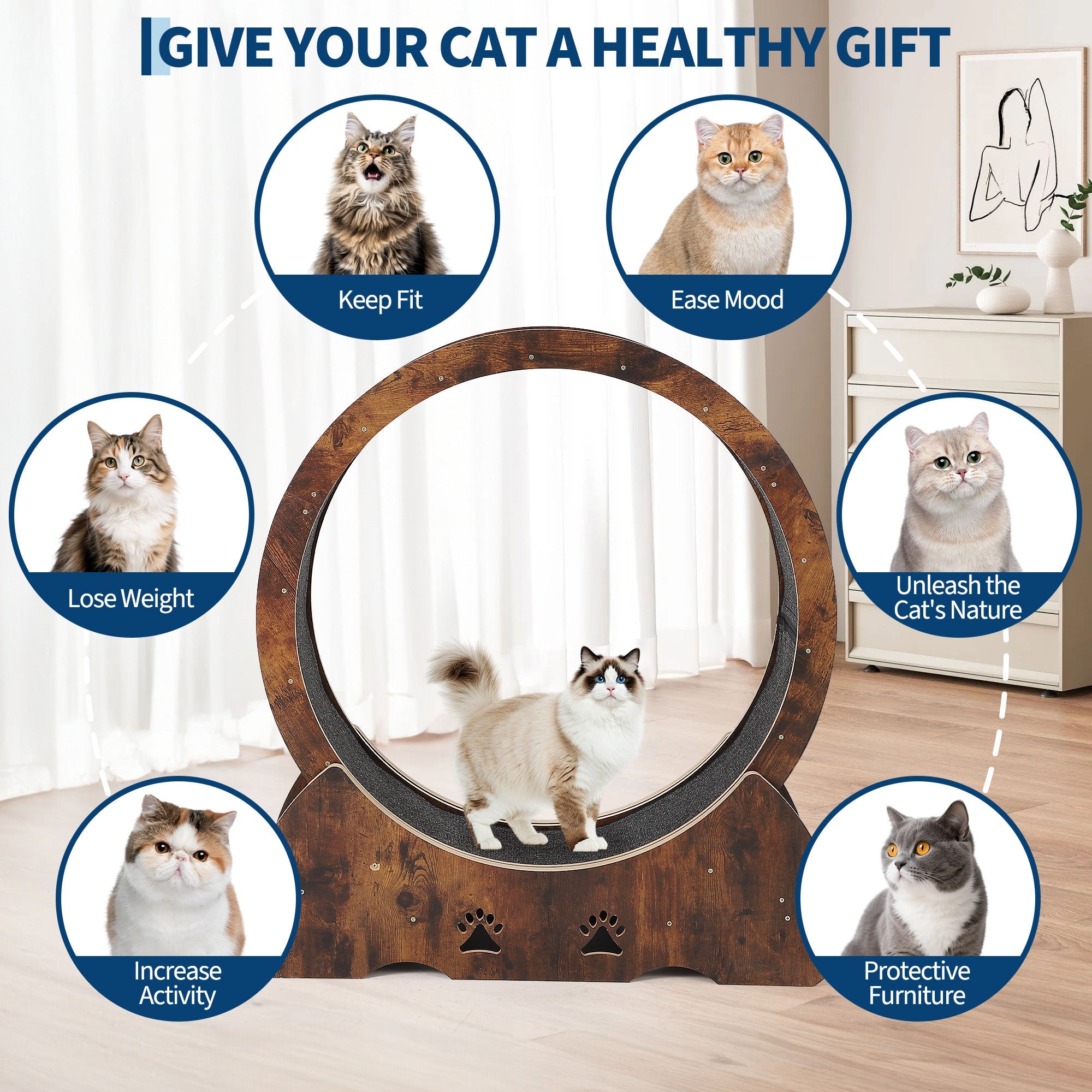 Garvee Low Noise Cat Exercise Wheel – Indoor Wooden Running Treadmill with Removable Carpet Catwalk, Promotes Healthy Activity & Entertainment, Plume Teaser Toy Included – Rust Brown