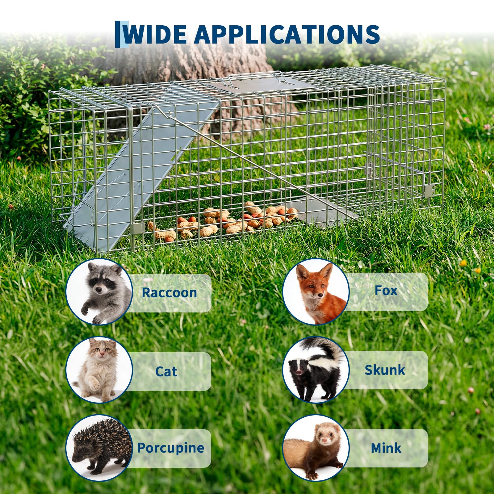 Garvee Heavy Duty Live Animal Trap Cage – Collapsible Steel, Sensitive Trigger – Humane for Raccoons, Feral Cats, Skunks, Rabbits & Small Foxes – Easy Carry Handle – 32x10x12 in / 81.3x25.4x30.5 cm