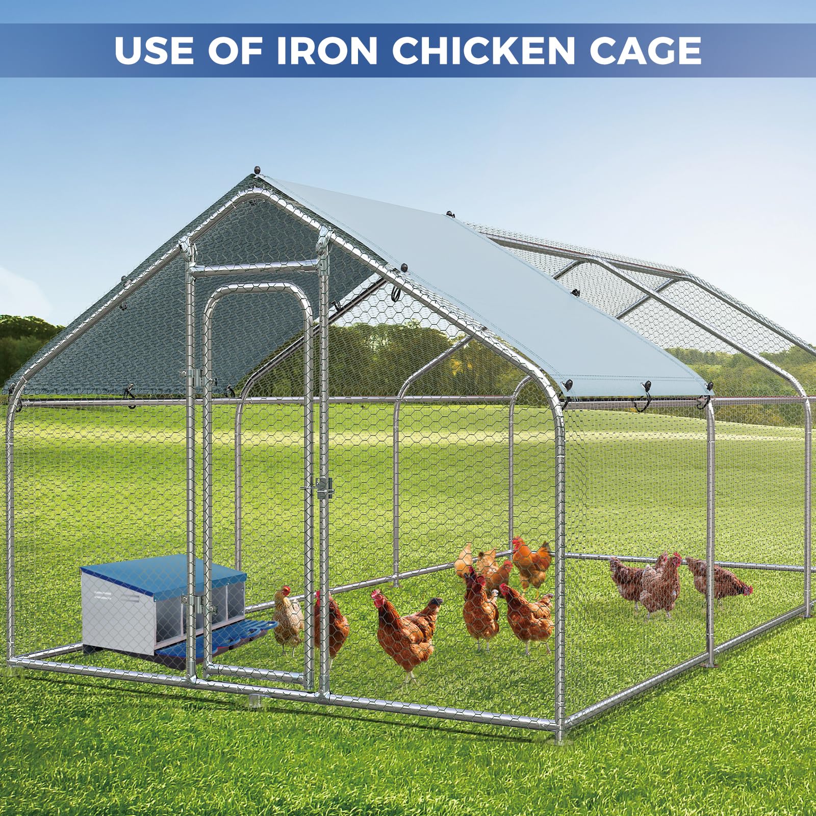 Garvee 4-Compartment Galvanized Steel Chicken Nesting Box – Roll-Away Tray & Support Stand, Blue