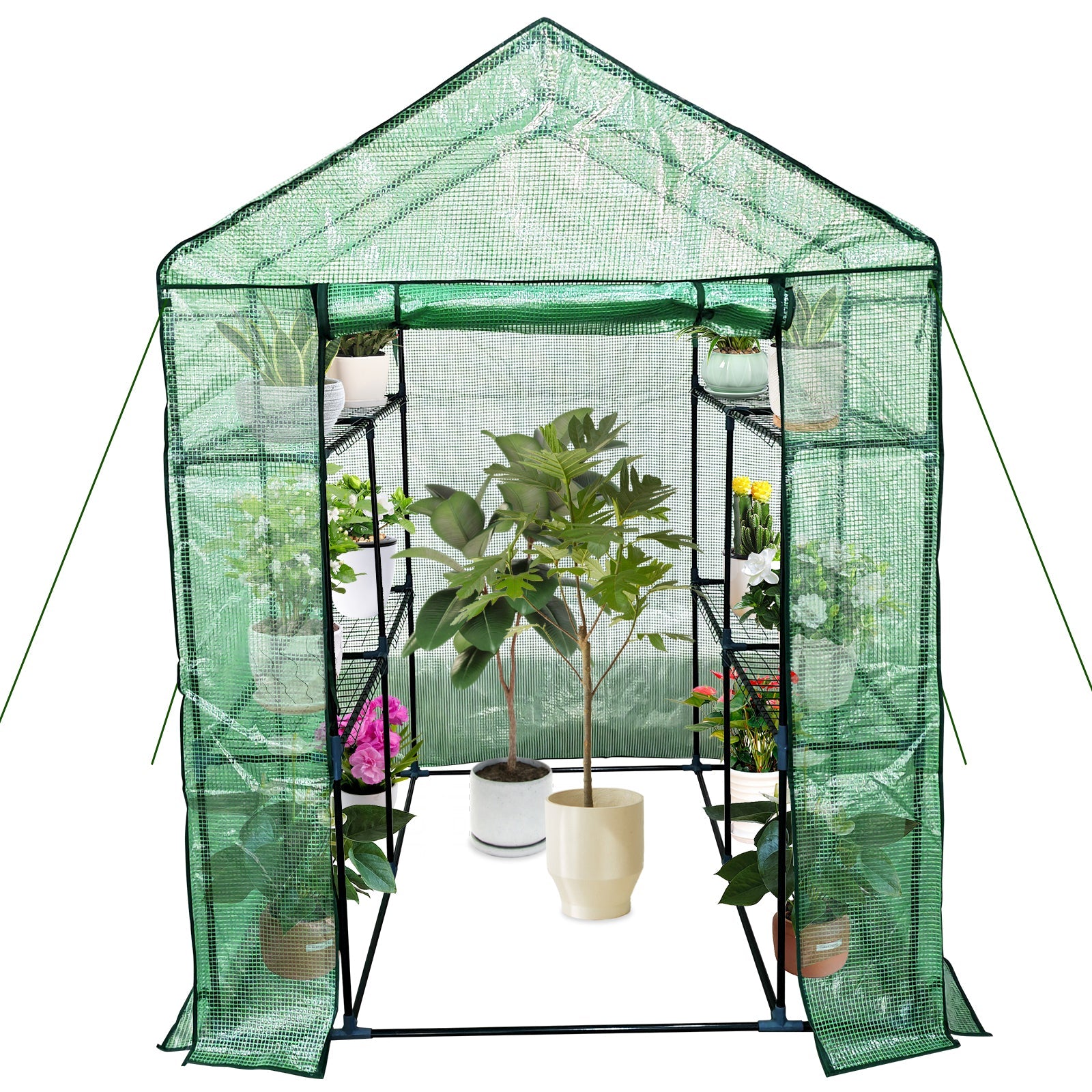 Garvee Walk-In Greenhouse 56 × 56 × 75 in, 6-Shelf Portable Green House with 140 g/m² PE Cover, Steel Frame and Roll-Up Zipper Door for Patio, Garden and Backyard, Green