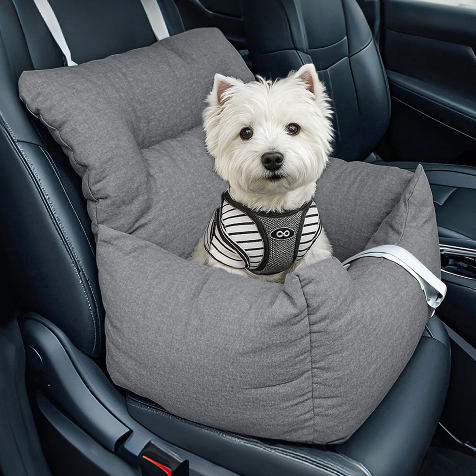 Garvee Dog Booster Car Seat Bed for Small Dogs Up to 18 LB, Portable Elevated Puppy Travel Car Seat with Tether & Reversible Cushion for Front and Back Use, Grey