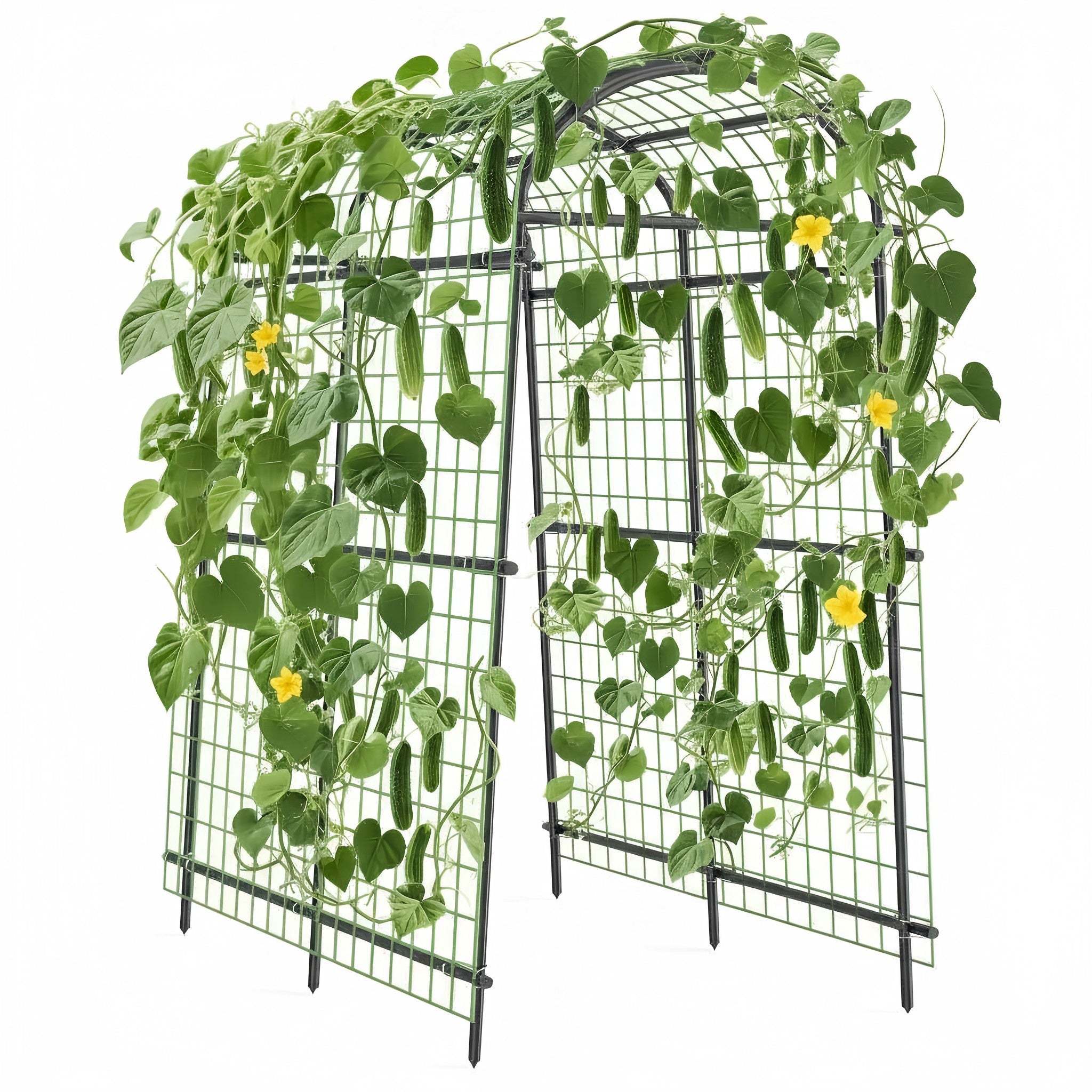 Garvee Cucumber Trellis for Raised Beds, 7 ft Metal Garden Arch Trellis, 39.37" Wide 17.86 lb Arbor with Stakes for Climbing Plants