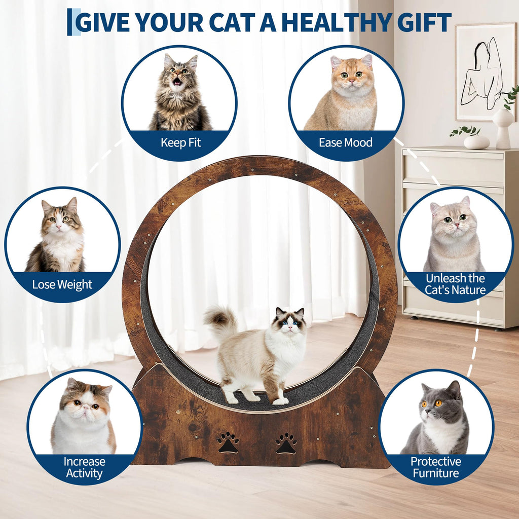 Garvee Low Noise Wooden Cat Exercise Wheel, 34" Indoor Cat Running and Training with Carpeted Removable Treadmill, Quiet TPE Rollers, Smooth Performance, Safety Lock for Cats Fitness