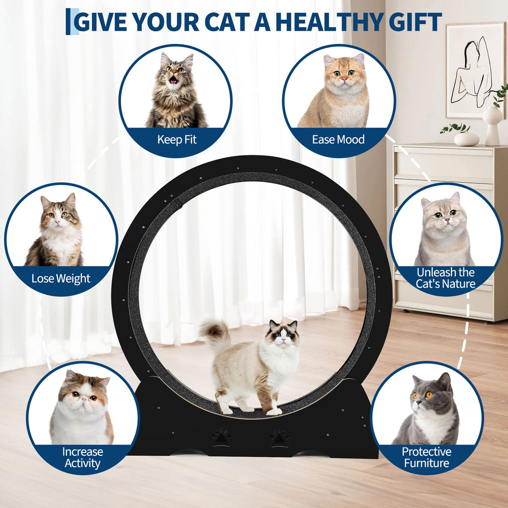 Garvee Large Wooden Cat Exercise Wheel Treadmill, 39" Indoor Running Wheel with Detachable Carpeted Track – Ideal for Cat Fitness, Training, Weight Loss, Black