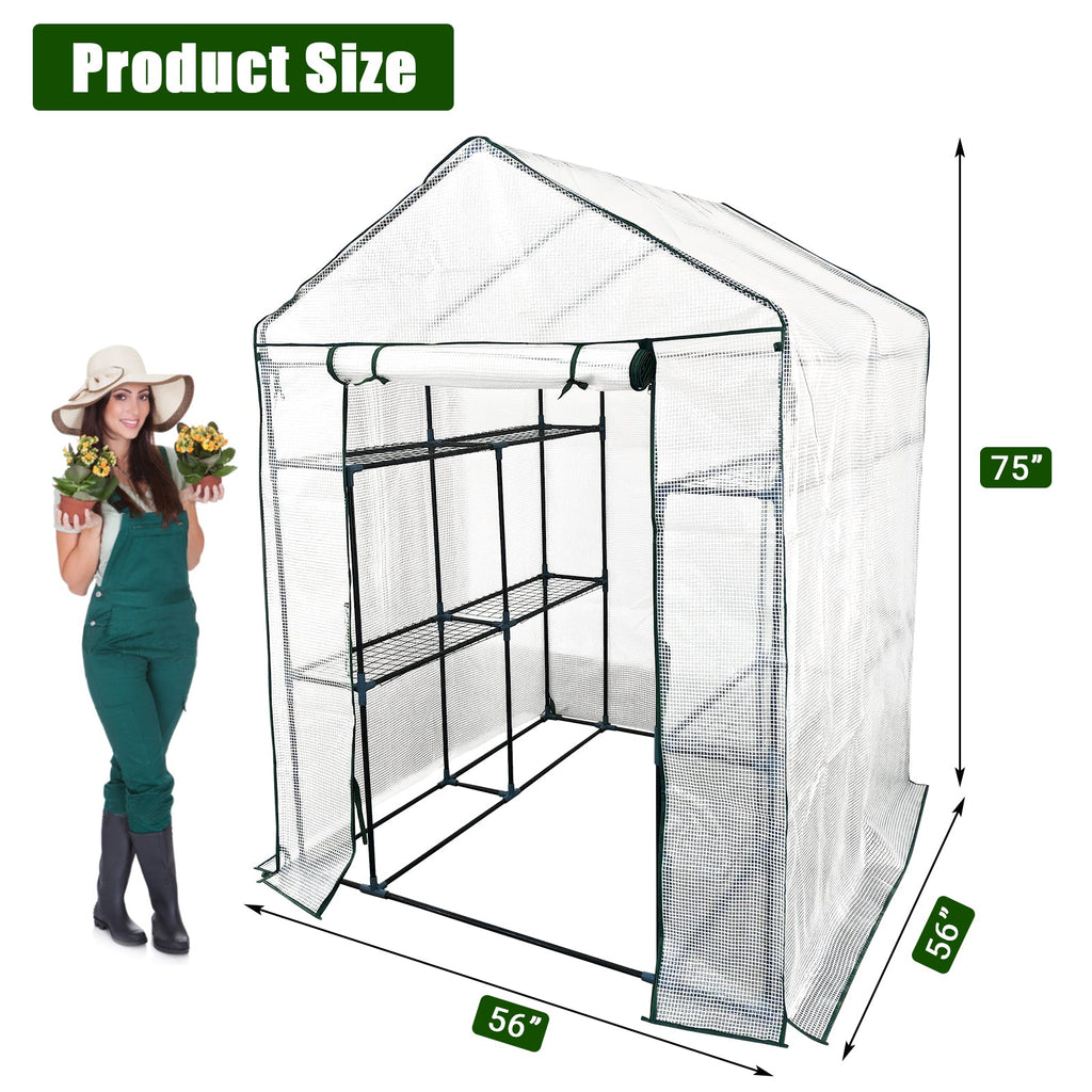 Garvee Spacious Walk-In Greenhouse for Outdoor Gardening – 6 Shelves, Sturdy Steel Frame, Roll-Up Zippered Door, Anchors & Ropes, Portable Plant House – Ideal for Patio, Backyard, Garden – White, 143×143×195cm