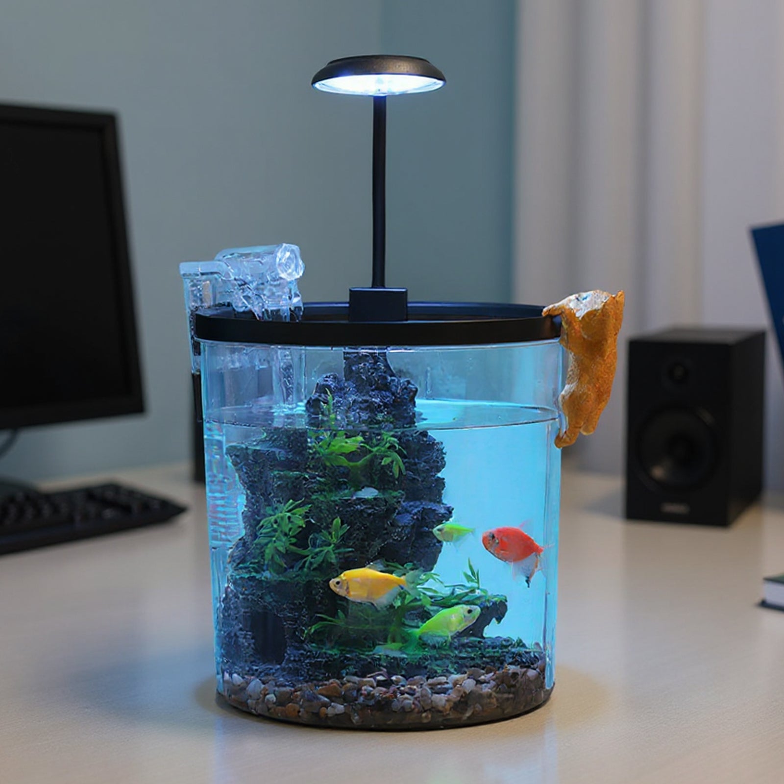 Garvee Mini Desktop Fish Tank Kit – 1.5/2.3/2.5 Gallon Plastic Aquarium Starter Set with Silent Filter, LED Light & Oxygen Generator – Ideal Betta & Goldfish Tank for Home/Office – Black (Round Desktop Landscape Tank Deluxe Edition)