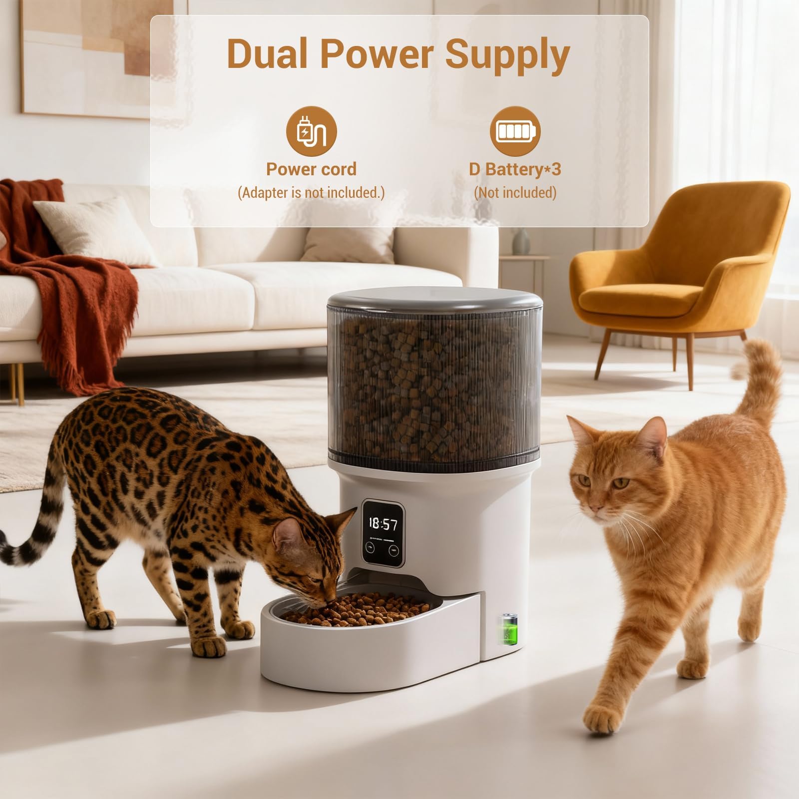 Garvee Automatic Dog & Cat Feeder 4L, Programmable Up to 6 Timed Meals, Portion Control, Dual Power, Stainless Steel Bowl, Easy to Clean, Dampness-Proof, Smart Food Dispenser, Black