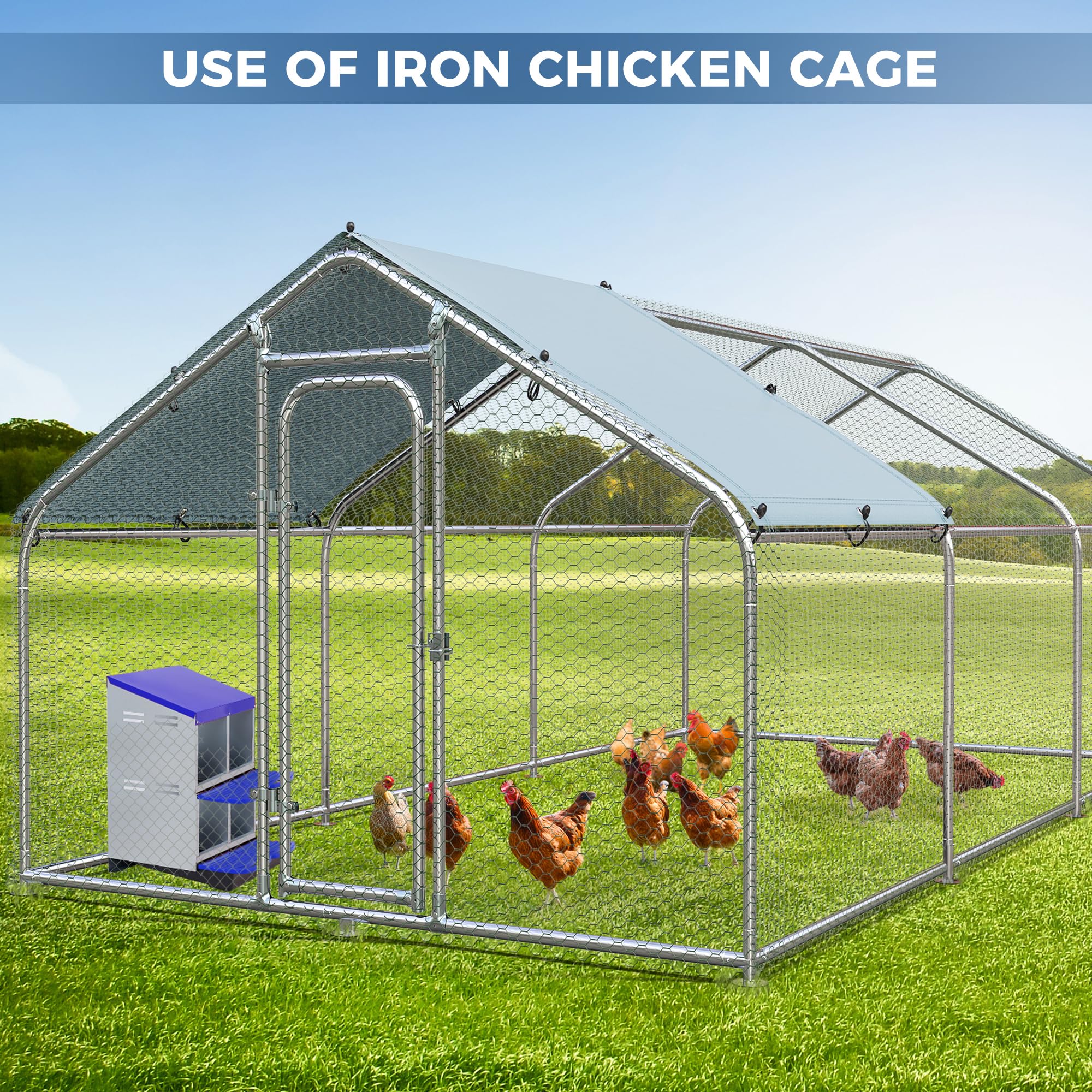 Garvee 4-Compartment 2-Tier Chicken Nesting Box – Roll-Away Tray & Support Stand, Blue