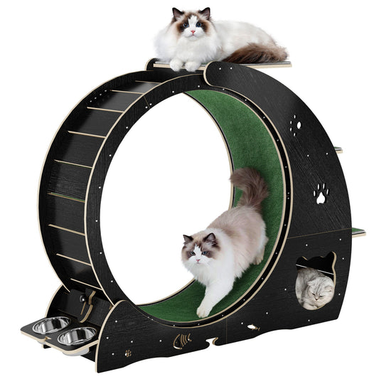 Garvee Large Cat Exercise Wheel for Indoor Cats - 3-Tier Climbing Tower & Grazeing Post - Silent Treadmill for Training, Exercise & Obesity Prevention - Black