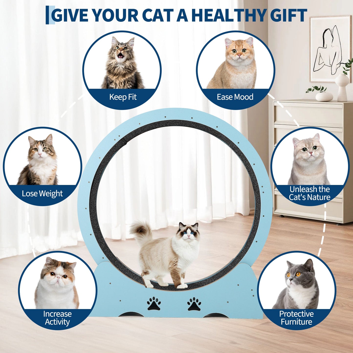 Garvee Low Noise Cat Exercise Wheel – Indoor Wooden Running Treadmill with Removable Carpeted Catwalk, Promotes Healthy Activity & Entertainment, Plume Teaser Toy Included – Mint Green