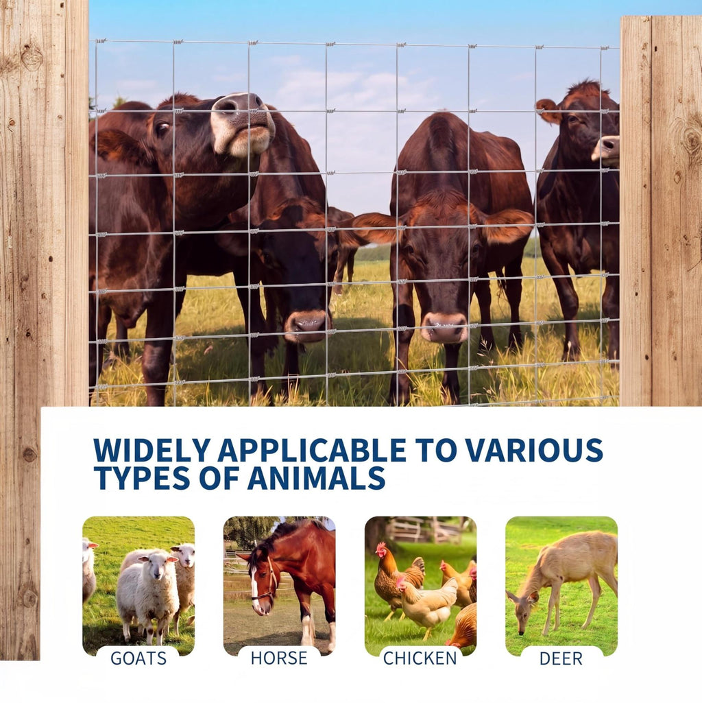 Garvee Cattle Farm Fence 6Ft x 262Ft, 12 Gauge Heavy Galvanized Steel Wire Fencing Outdoor for Livestock Control/Pet Supplies/Farmer/Agriculture/Pasture/Cross Fencing/Horse/Goat/Deer/Pig/Sheep/Garden