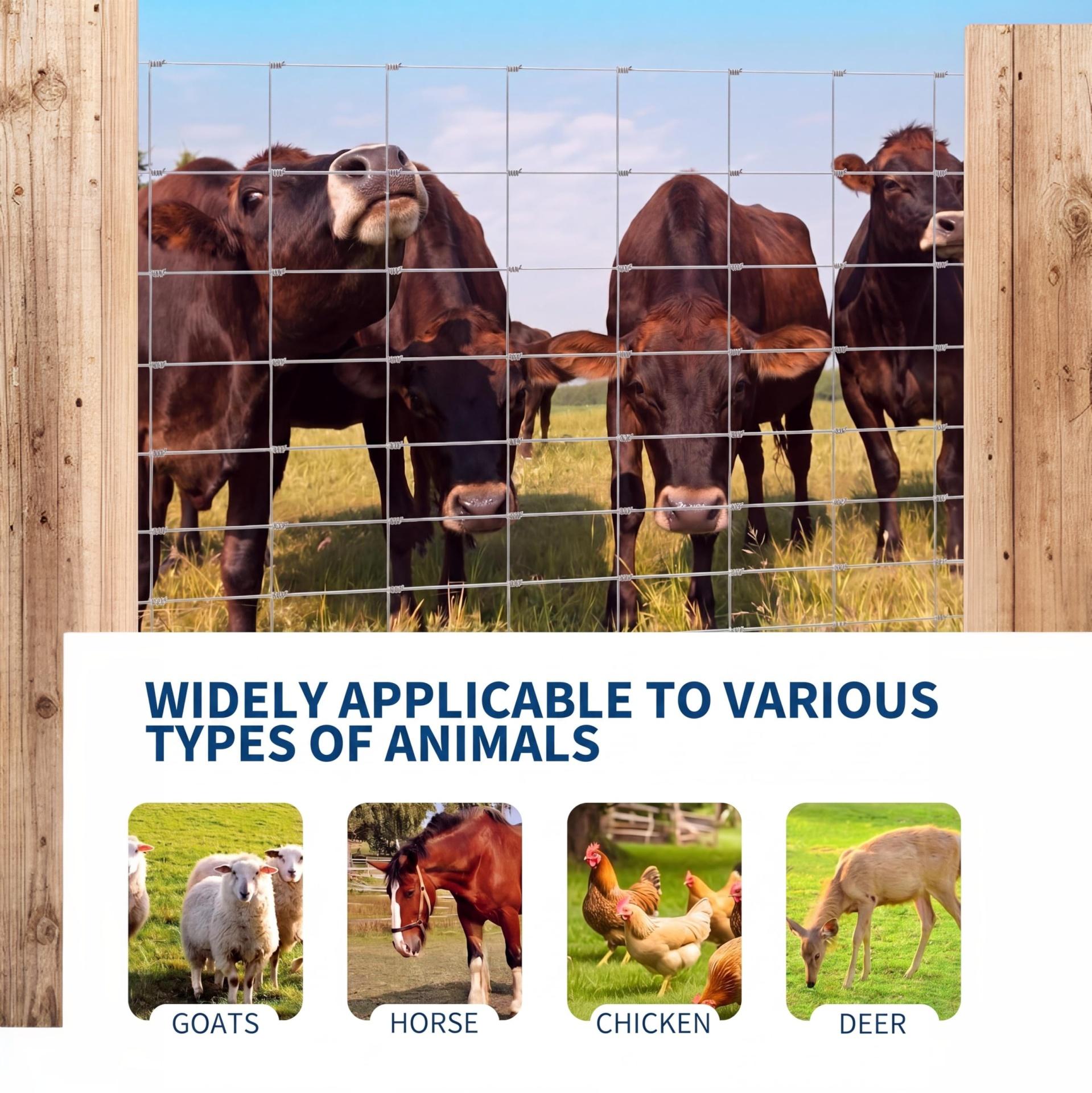 Garvee Cattle Farm Fence 6Ft x 262Ft, 12 Gauge Heavy Galvanized Steel Wire Fencing Outdoor for Livestock Control/Pet Supplies/Farmer/Agriculture/Pasture/Cross Fencing/Horse/Goat/Deer/Pig/Sheep/Garden