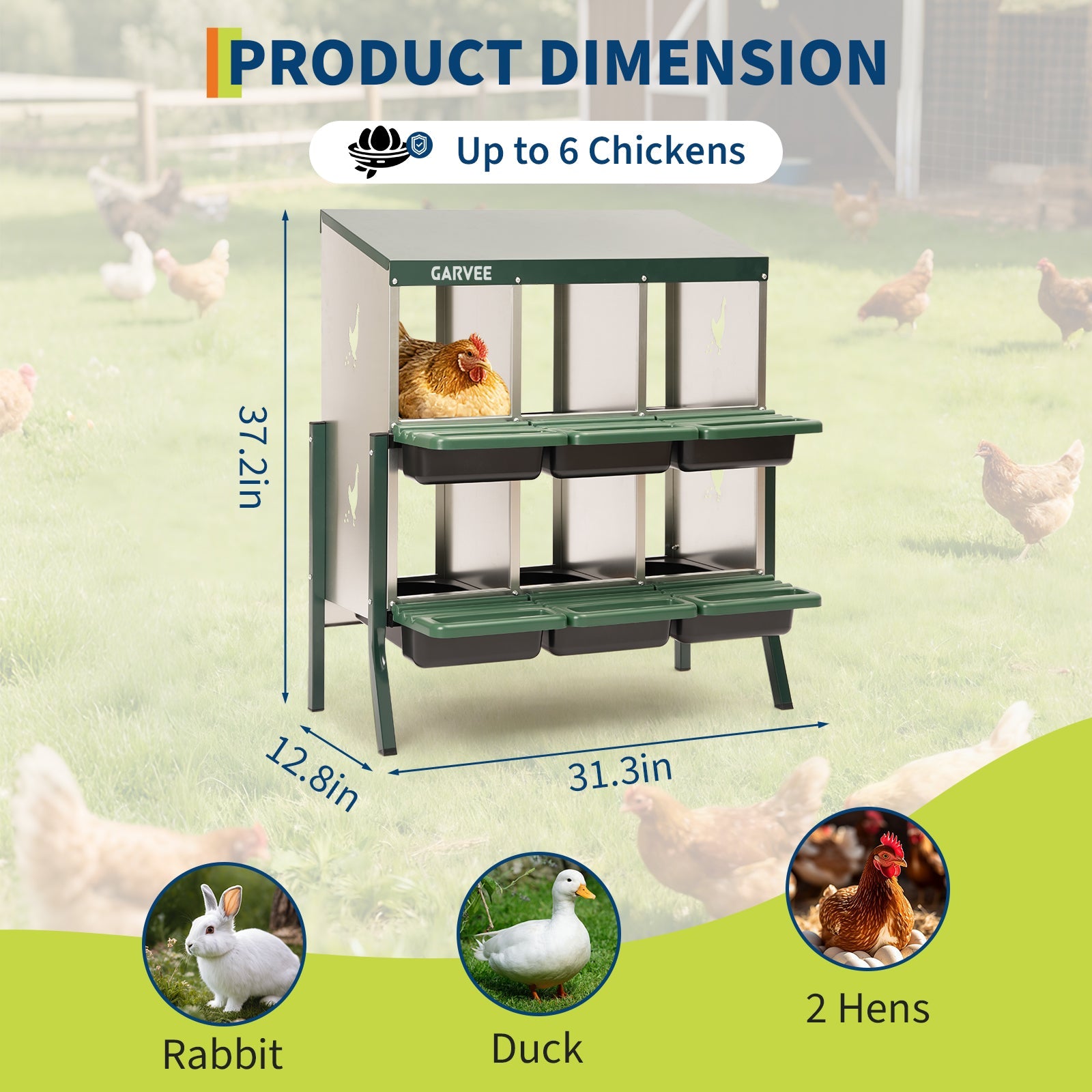 Garvee 6 Compartment Metal Chicken Nesting Box – Heavy Duty, Ventilated, Removable Tray & Perch, Easy Clean, Efficient Egg Collection for Hens, Ducks, Geese – Green with Chicken Design – Size: 6 Compartments, Color: Green (Side Chicken Design)