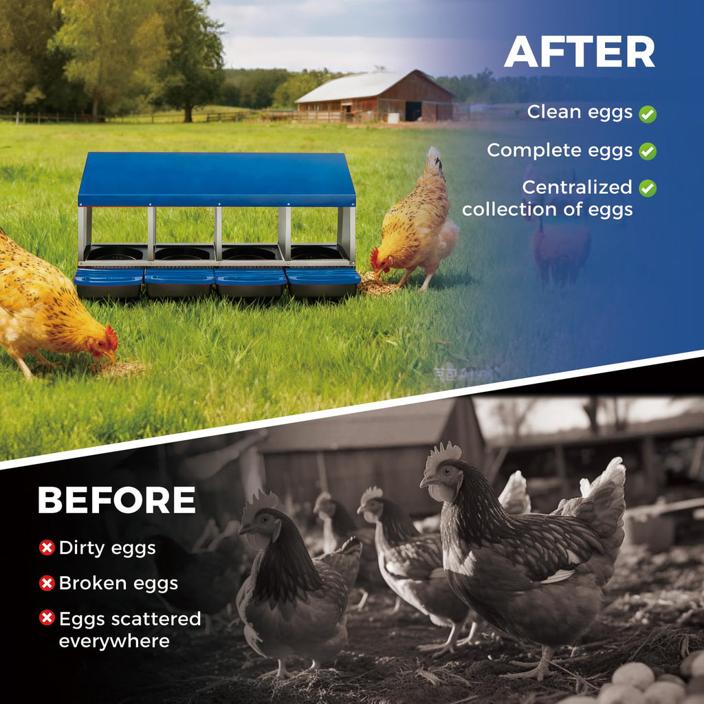 Garvee 4-Compartment Galvanized Steel Chicken Nesting Box – Roll-Away Tray & Support Stand, Blue