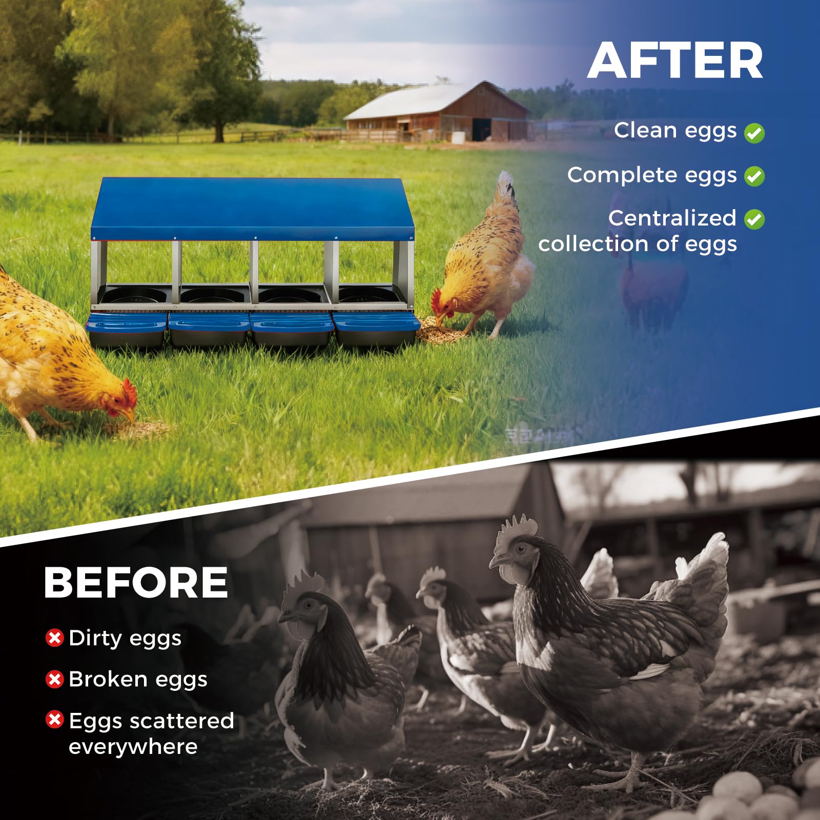 Garvee 4-Compartment Galvanized Steel Chicken Nesting Box – Roll-Away Tray & Support Stand, Blue