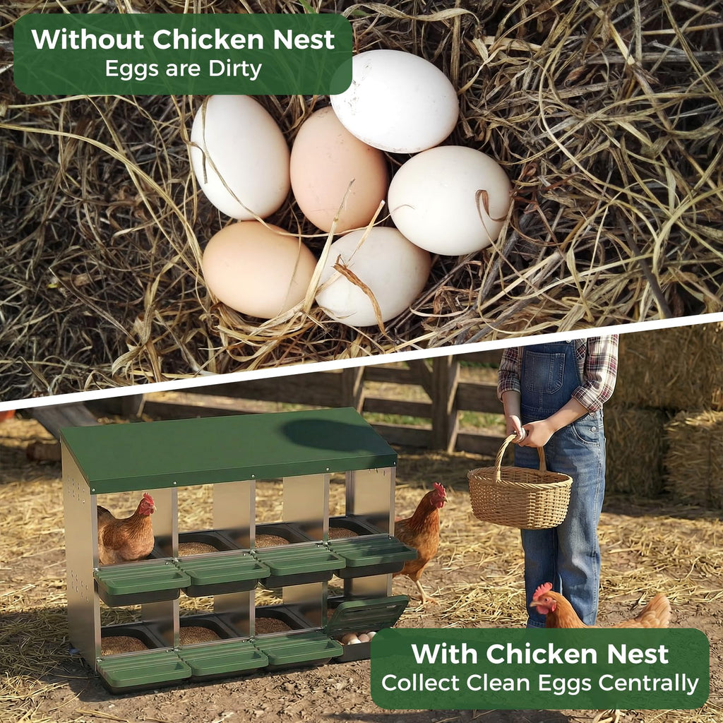 Garvee 8-Hole Chicken Nesting Box with Roll Away Design, Ventilation Holes, Galvanized Steel, Removable Lid, Easy Egg Collection, Green, for Chicken and Duck Coops