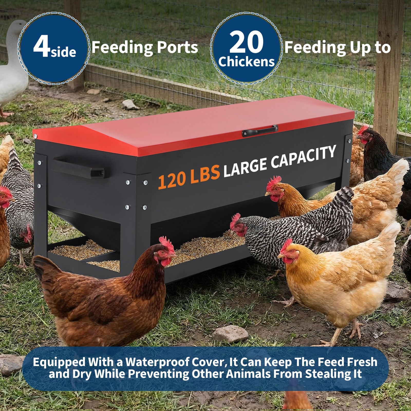 Garvee 120lbs Large Metal Chicken Feeder Box – Galvanized Steel, Automatic Poultry Feeding, Waterproof Red Lid, Brake Casters, Portable Handles – For Chickens, Ducks, Geese, Hens, Roosters, Quail, Turkey – Large - Red Lid