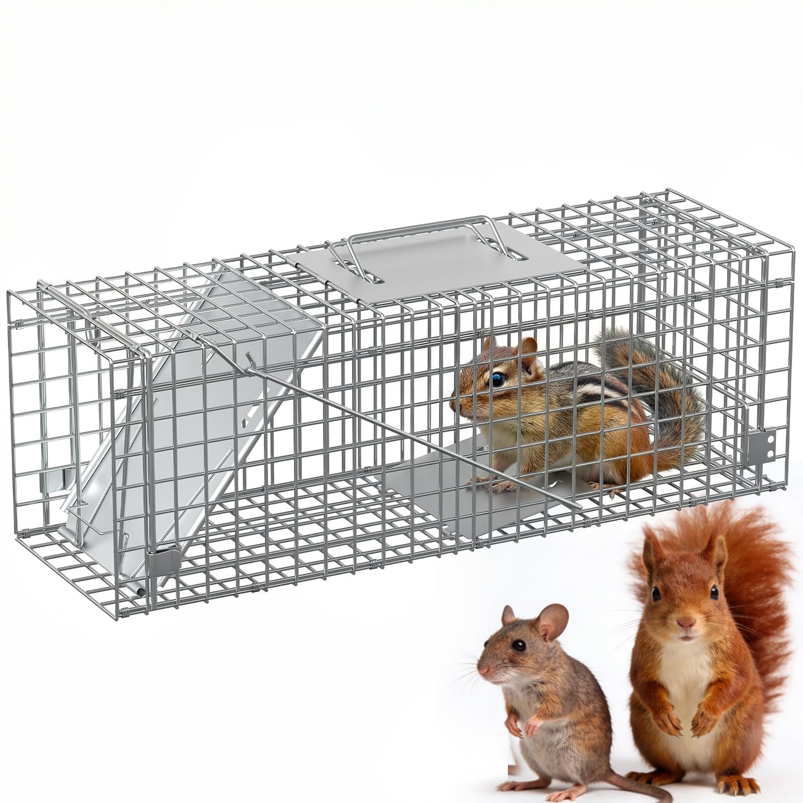 Garvee Compact Live Animal Trap Cage – Humane, Collapsible Steel, Sensitive Trigger – For Raccoons, Cats, Squirrels, Skunks, Rabbits, Foxes – Carry Handle – 24x8x8 in / 60x19x20 cm, Up to 2kg/4.4lbs