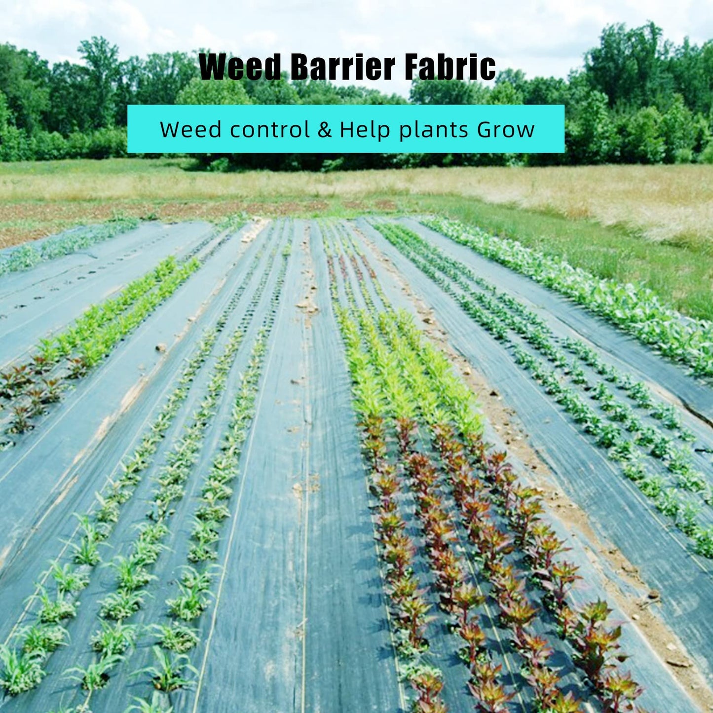 Garvee 4 ft x 250 ft Weed Barrier Landscape Fabric Heavy Duty, Premium 5 oz Ground Cover Weed Block Gardening Mat, Easy Setup & Superior Weed Control, for Erosion Control, Weed Barrier