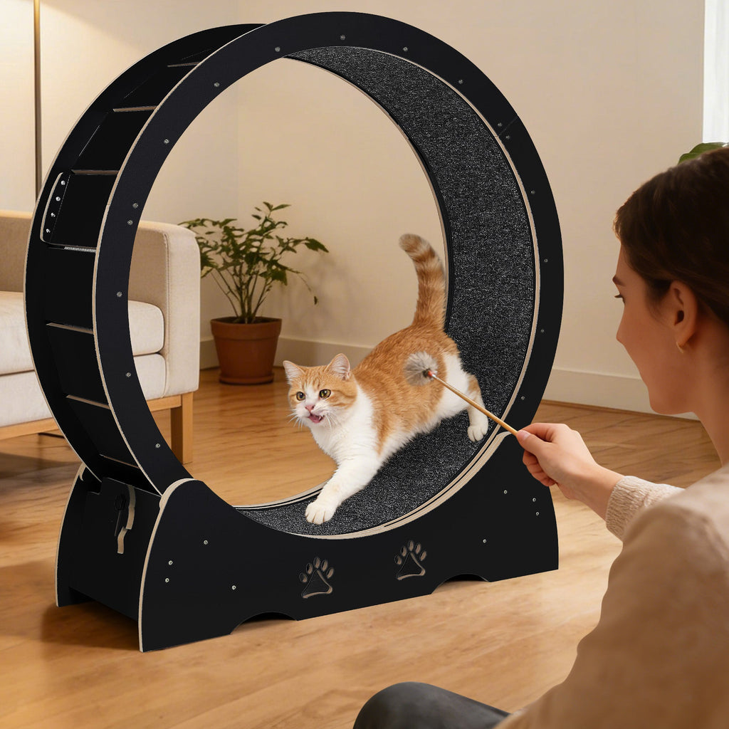 Garvee Large Wooden Cat Exercise Wheel Treadmill, 39" Indoor Running Wheel with Detachable Carpeted Track – Ideal for Cat Fitness, Training, Weight Loss, Black
